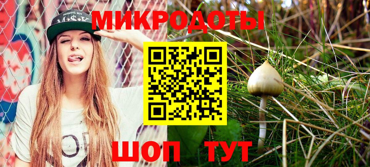 даркнет сайт  Вход с VPN  Нововоронеж  Галлюциногенные грибы GOLDEN TEACHER 