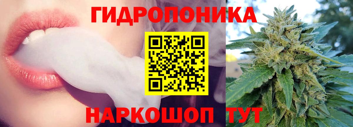 Каннабис планчик  Канабис сатива  Вход с VPN  Нововоронеж 